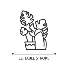 Wipe leaves surface linear icon. Houseplant care. Wipe dust with cloth. Indoor gardening hobby. Thin line illustration. Contour symbol. Vector outline drawing. Editable stroke. Arial font used