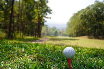 Golf balls on a tee in a beautiful golf course in the morning sun, ready for the first short