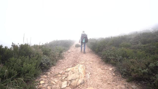 Toma 4k de chico andando pro camino de piedra hacia la niebla