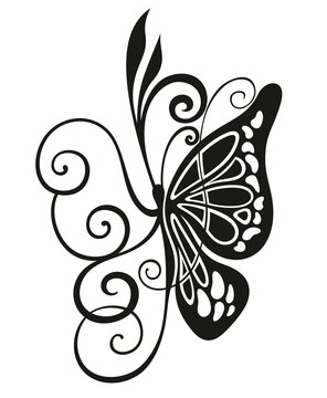  Hand drawn isolated butterfly on a white background