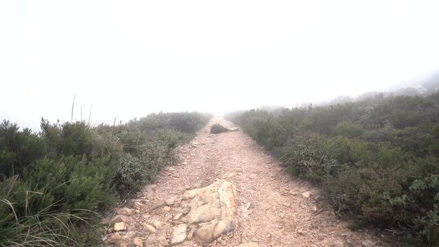 Toma 4k de camino de piedras con mucha niebla