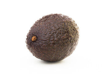 ripe dark avocado on white background