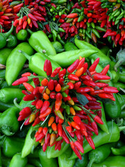 Organic red and green chili peppers on a farmers market stall in the Aegean coastal town Yalikavak, in Bodrum, Turkey.  