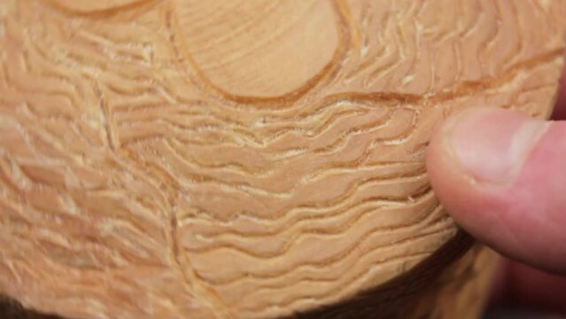 The Carved from wood. Wood carving patterns. Processing of carved wooden objects.