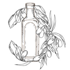 Olive oil bottle and fresh olives on branch in hand drawn vector illustration isolated.