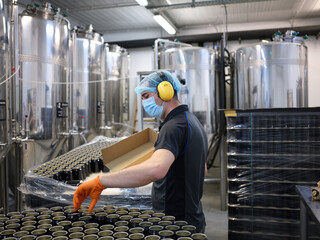 Worker picking up cans from a craft beer canning production line in a brewery