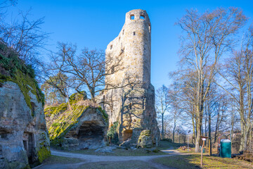 Fototapete bei efototapeten.de bestellen   