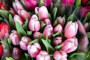 Fototapeta Świeże tulipany na targu kwiatowym obraz