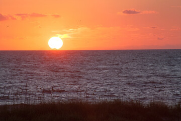 Sunrise over the ocean