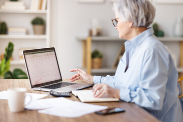 Mature businesswoman working at laptop, reading documents and take notes in home office