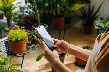 Close-up high-angle view of unrecognizable female florist and blogger taking pictures of plants in...