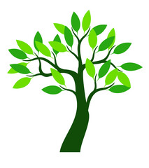 Green Tree with Leaves. Vector outline Illustration.