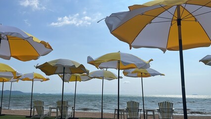 summer on the beach