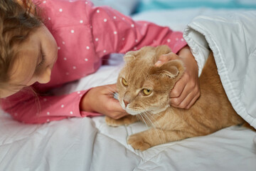 Cute ginger cat and little girl lying on a soft blanket in bed