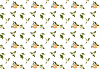 Beautiful floral pattern with clementine, tangerine, mandarin, orange fruit and white blooms