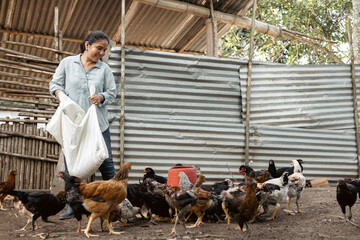 Woman farmer feeding her chickens on a micro farm