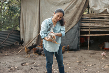 Woman farmer looking at one of her chickens on her farm 
