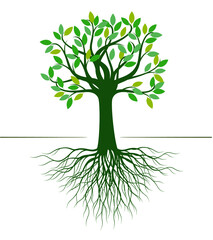Green vector Tree with Roots.
