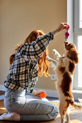 Portrait of beautiful young redhead woman in casual wear with dog playing with toys at home, indoors, sitting on floor. Cute puppy with owner. Adorable King Charles spaniel breed. people and animals