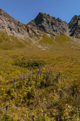 Very large and majestic alpine landscape at the Greina plateau in the Swiss alps, in the Lord of...