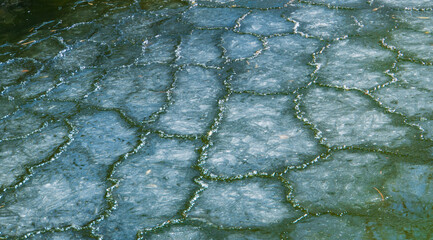 ice patterns on a frozen pond 
