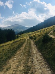 mountain road in the mountains