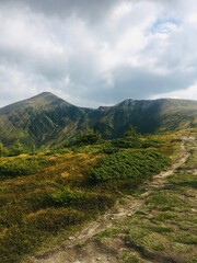 landscape in the mountains