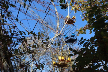 tree and wheel in the sky