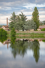 Fototapeta na wymiar Reflections of trees in the water on the Loire/Reflets des arbres dans l'eau sur La Loire