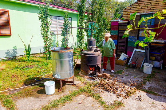 Woman is manually mixing fruit marc in distillation apparatus for making domestic alcohol liquor