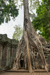 カンボジアの風景