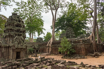 カンボジアの風景