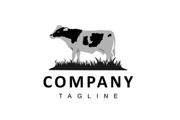 Obraz premium BUNDLES