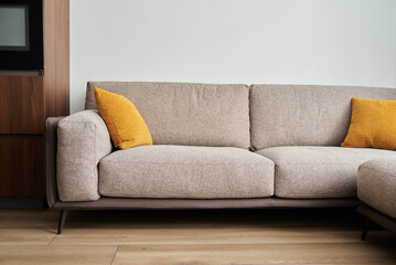 Fototapeta na wymiar Іnterior of a modern room with a comfortable sofa