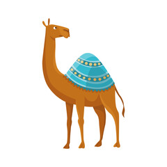 Camel with one hump and dromedary. Desert animal walking with decorative ethnic ornament saddle, side view. Cartoon . Flat icon design, isolated on white background