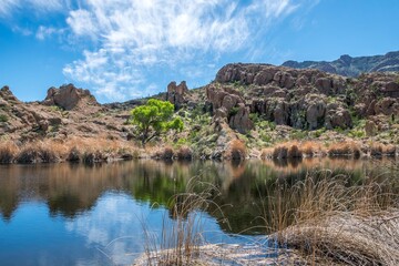 An overlooking view of nature in Boyce Thompson Arboretum SP, Arizona