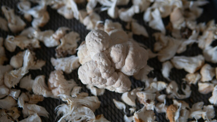 Useful substances in the composition of the fruiting bodies of the fungus lion's mane. Erinacins and Hericenones