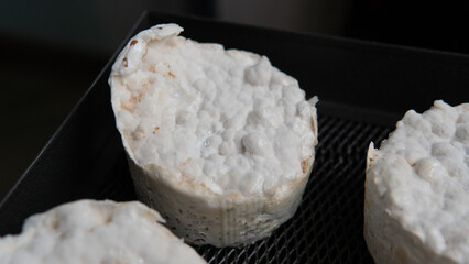 .fermented rye grain with mycelium of multi-colored trametes. Fermented Mushroom Supplements for a Healthy Lifestyle