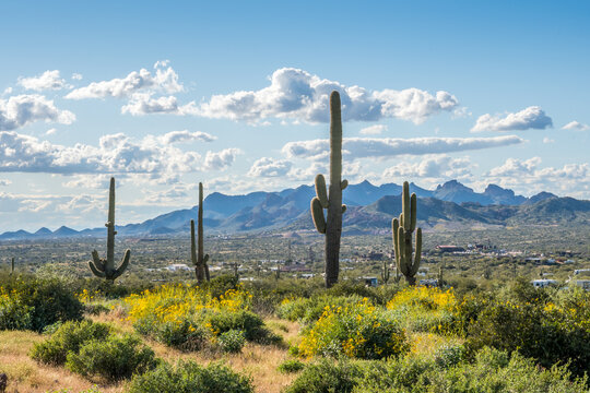 An overlooking view of nature in Lost Dutchman SP, Arizona