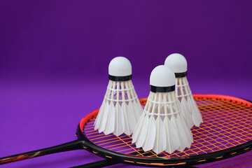 White cream badminton shuttlecocks, badminton rackets on purple floor of indoor badminton court, soft and selective focus on shuttlecock, concept for badminton sport lovers around the world