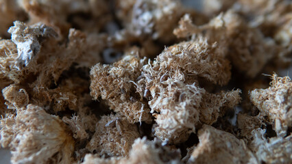 dried fruiting bodies of Hericium erinaceus.