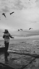 seagulls on the beach