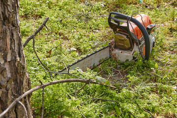 Gasoline power saw placed on ground during a break from loggers cutting tree branches.