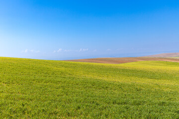 cereal fields in the province of Toledo, Spain