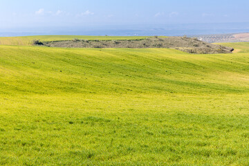 cereal fields in the province of Toledo, Spain