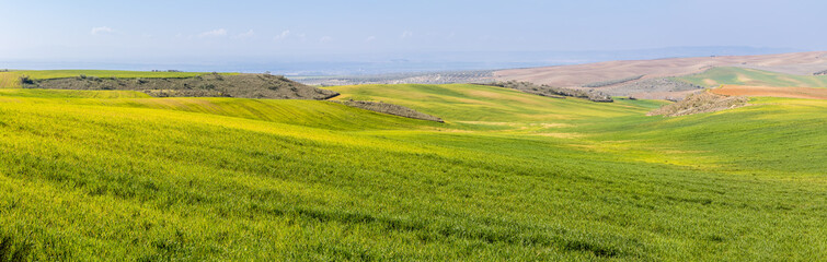 Fototapeta premium cereal fields in the province of Toledo, Spain