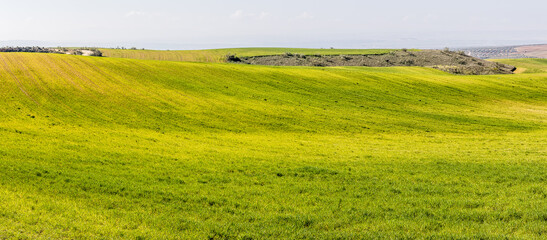 Fototapeta na wymiar cereal fields in the province of Toledo, Spain