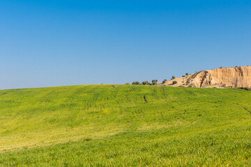 Obraz premium cereal fields in the province of Toledo, Spain