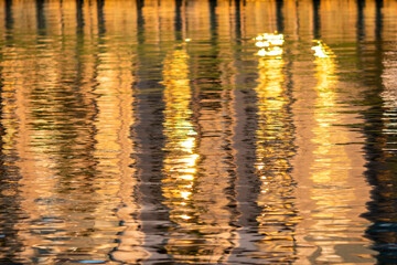 reflection in water