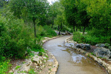 Fototapeta premium in the park after the rain
